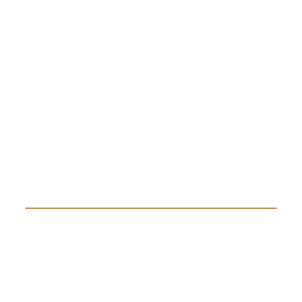 Valentina Scuccato restauro opere d'arte Logo